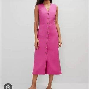 Ann Taylor Vibrant Pink Midi Dress